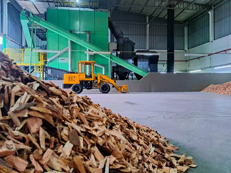 Tintorería SANCRIS. Astillas de madera de reforestación para quemar en la caldera.